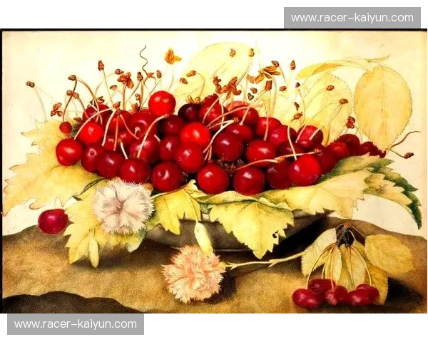 樱桃的香甜与和平的宁静：德岛与广岛，一场风土人情的温柔碰撞